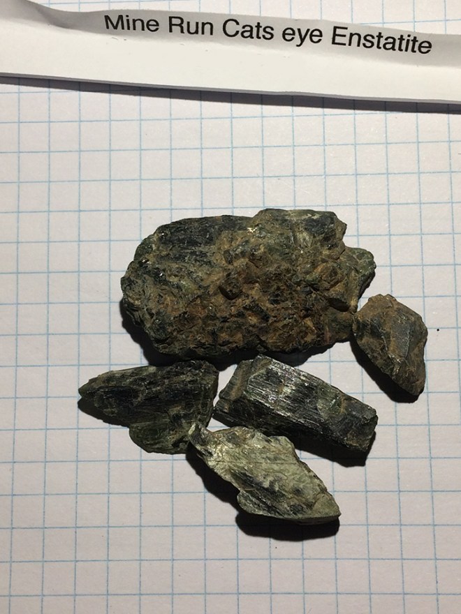 enstatite-cats_002